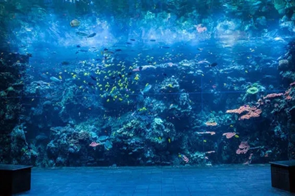 水族馆名称大全 水族馆起名叫什么好