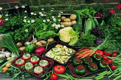 农产品店铺起名 卖农产品取什么店铺名 2农产品店铺起名 卖农产品取什么店铺名1