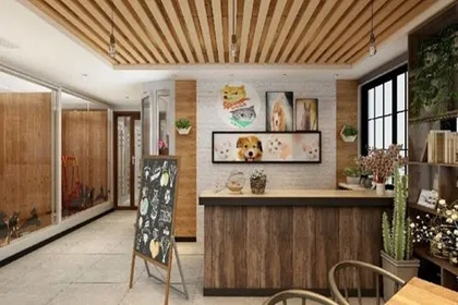 大气宠物店铺名字大全 有格调的宠物店店名