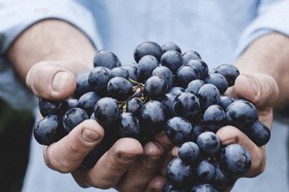 为店铺起名 好的店铺名字推荐