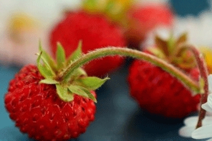 健康商标名字大全 健康方面的商标参考