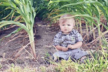 带贤的男孩名字(带木的字男孩名字)