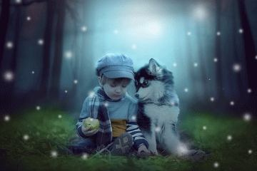 洛神赋中最唯美的名字男孩(洛神赋中的洛神是谁)