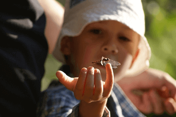 景姓补水好听的男孩名字(景姓取名字大全)