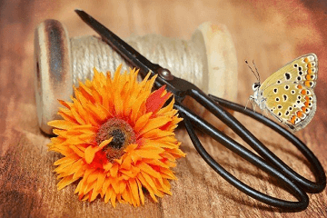 文艺高端的婚纱店名字精选