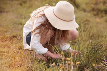 木字旁的高雅女孩名字(木字旁的女孩名字大全)
