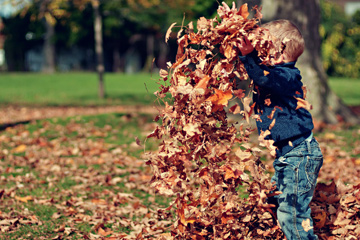 牛年男宝宝取什么名字好(牛年男宝宝取什么名字好姓张十月)