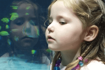 古风清雅的名字女孩名字(古风女孩名字清冷有仙气)