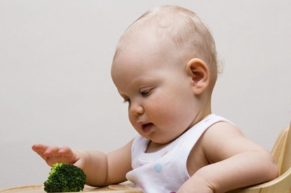 好听稀少的男孩名字姓陈 姓陈独特好听的男孩名字