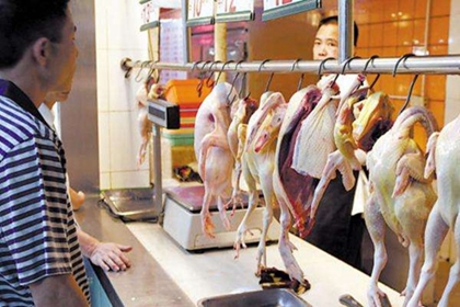 卖鸡鸭店铺名字 家禽宰杀店起名大全