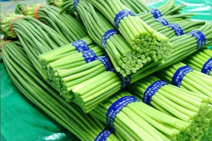 菜店铺名字 好听的蔬菜店名字大全(好听大气的蔬菜店名大全集)