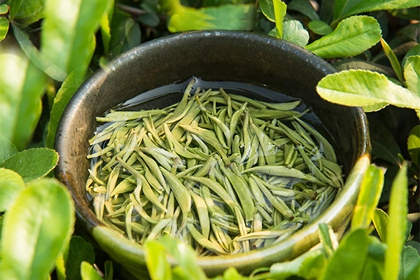 茶业店铺名字 有关茶的店铺名字大全