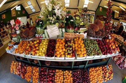 山货店起名 卖山货的店铺叫什么好 山货店起名 卖山货的店铺叫什么好