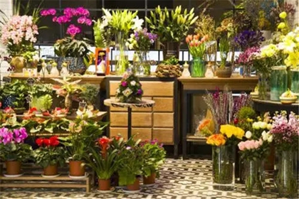 花卉店名称大全 鲜花店店名大全