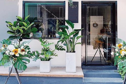 韩范的花店名 比较韩范的店名