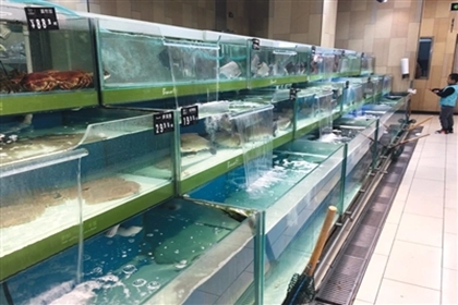 水产店铺起名 水产店取名字大全集