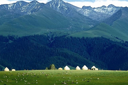 起名大全免费取名2021年 2021年公司好名免费大全