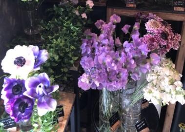 独一无二的花店名字 带有财气的花店名