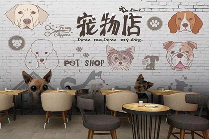 可爱又好记宠物店名字 有格调的宠物店店名