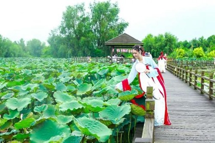 汉服店起名汉服店铺取名 古典文雅的汉服店铺名字 汉服店起名汉服店铺取名 古典文雅的汉服店铺名字