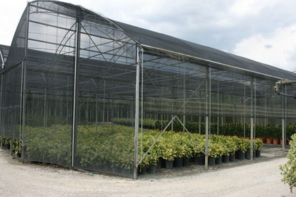 农业公司该如何取名 好听有内涵的公司名字大全