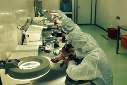 字典取公司名字 公司怎样取名字(公司起名字及原理大全)