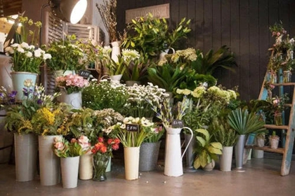 韩国花店名字洋气 洋气的花店名字(有格调洋气的花店名字)