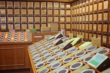 有诗意的花茶店名字 有意境的花茶店名字大全