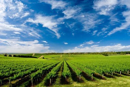 农业公司起名大全集 农业行业的公司怎么取名 农业公司起名大全集 农业行业的公司怎么取名