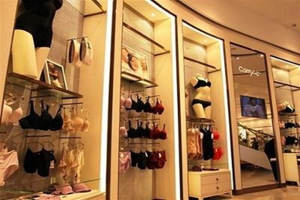 淘宝内衣店铺名字大全 淘宝卖内衣的店铺名字