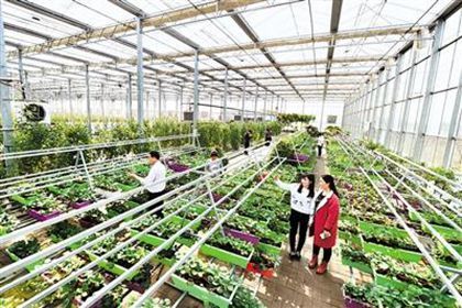 农业公司起名大全2021 农业公司起名大全免费 农业公司起名大全2021 农业公司起名大全免费