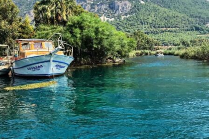 园林公司取名大全集 园林名字大全免费