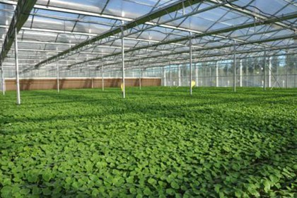 农业名称取什么好听 农业公司取什么名字合适