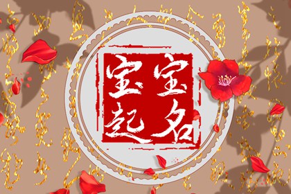 姓夏不重名的名字2023 可以让人对你印象深刻