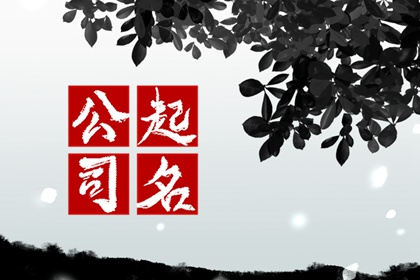 寓意好的运输公司名字 个性化的企业名字