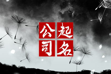 属金的五行有哪些公司名字 有能力的公司名称