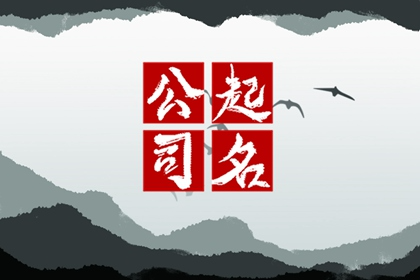 五行记账公司名字大全 根据字的意义起名