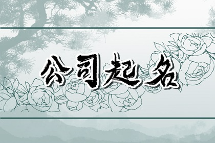 有内涵的财务公司名字 大气的公司名称
