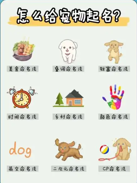 如何为宠物选一个符合其性格的有趣名字